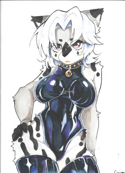 anthro breasts clothing collar female grumpy hair latex latex_clothing latex_skinsuit legwear looking_at_viewer short_hair skinsuit solo swimwear thigh_highs tight_clothing white_hair cinnamofox felid mammal pantherine snow_leopard absurd_res hi_res superabsurd_res