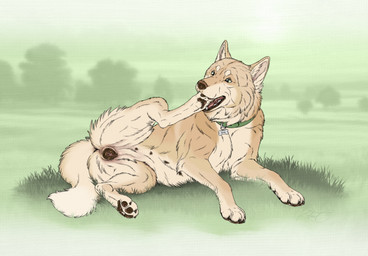 animal_genitalia animal_vulva brown_nose brown_pawpads brown_vulva canine_genitalia canine_vulva cheek_tuft collar facial_tuft fangs female female_feral feral foot_in_mouth fur genitals glistening glistening_eyes grass green_collar green_eyes leg_tuft lying neck_tuft on_side open_mouth outside pawpads plant red_tongue solo tan_body tan_fur teeth tongue tuft vulva kodaac canid canine canis domestic_dog mammal hi_res