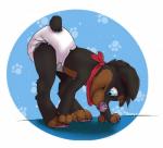 anthro bent_over black_body black_fur blue_eyes claws clean_diaper clothed clothing diaper fur furgonomics kerchief looking_down male neckerchief pawpads paws solo wearing_diaper young young_anthro dracky canid canine canis dobermann domestic_dog mammal pinscher 2015