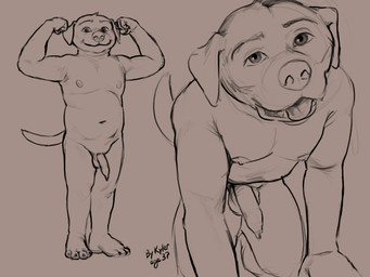 4_toes acroposthion all_fours anthro areola balls black_and_orange feet fingers flexing flexing_bicep foreskin fur genitals half-erect humanoid_genitalia humanoid_penis long_foreskin looking_at_viewer male navel nipples nude open_mouth pecs penis simple_background smile solo standing tail tight_foreskin toes tongue tongue_out unretracted_foreskin kylerpup kyler_(kylerpup) bird_dog canid canine canis domestic_dog hunting_dog labrador mammal retriever 4:3 digital_media_(artwork) hi_res monochrome sketch