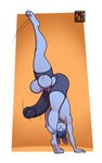 anthro balls big_balls big_penis blue_body blue_hair butt clothing dot_eyes genitals hair handstand huge_balls huge_penis hyper hyper_genitalia looking_at_viewer male penis raised_leg simple_eyes solo torn_clothing wardrobe_malfunction freckles_(artist) brady_conner_(character) lagomorph leporid mammal rabbit 2023 5:8