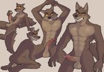 abs anthro anus athletic athletic_male backsack balls big_penis blush bodily_fluids brown_body brown_fur butt erection front_view fur genital_fluids genitals glistening glistening_body grey_body grey_fur humanoid_genitalia humanoid_penis looking_at_viewer male multiple_poses muscular muscular_male nipples nude pecs penis pose precum raised_tail rear_view simple_background smile solo tail teeth vein veiny_penis yellow_eyes sonicinmind dreamworks the_bad_guys mr._wolf_(the_bad_guys) canid canine canis mammal wolf 2024 absurd_res digital_media_(artwork) hi_res