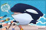 black_body blue_eyes dialogue electronics female feral group microphone talking_feral text water white_body sentinelwinder yamie cetacean dolphin human mammal marine oceanic_dolphin orca toothed_whale 2024 english_text hi_res