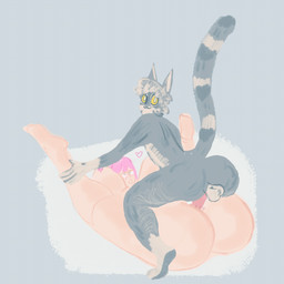 animal_genitalia animal_penis anthro anthro_penetrating anthro_penetrating_female anthro_penetrating_human big_breasts blinking breasts duo feline_genitalia feline_penis female female_on_anthro female_penetrated from_front_position genitals holding_legs_open human_on_anthro human_penetrated interspecies looking_at_viewer male male/female male_on_human male_penetrating male_penetrating_female male_penetrating_human mating_press penetration penile penis sex smile smiling_at_viewer yearofthesnitch felid feline human mammal 1:1 animated hi_res