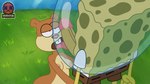 anthro bikini bikini_bottom breasts brown_body clothing female genitals licking oral penile penis penis_lick sandy's_treedome sex sponge swimwear tongue toony two-piece_swimsuit vein veiny_penis mayin nickelodeon spongebob_squarepants sandy_cheeks spongebob_squarepants_(character) eastern_grey_squirrel grey_squirrel mammal marine rodent sciurid tree_squirrel 2d_animation animated frame_by_frame loop meme short_playtime