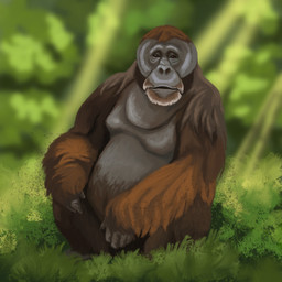 ambiguous_gender brown_body brown_fur feral fur grass grey_body grey_skin light light_beam looking_at_viewer nature orange_body orange_fur outside plant shaggy_fur sitting solo sunbeam sunlight agustindiazart gigantopithecus prehistoric_species 1:1 2024 hi_res
