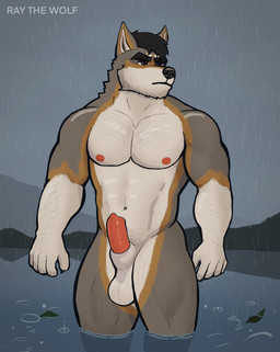 5_fingers abs animal_genitalia anthro arm_hair barazoku black_hair body_hair brown_eyes canine_genitalia chest_hair claws eyebrows facial_hair finger_claws fingers fur genitals grey_body grey_fur hair hairy_legs half-erect head_tuft lake leaf looking_aside male mountain muscular muscular_male neck_tuft nipples nude nude_anthro nude_male orange_body orange_fur outside partially_submerged pecs penis pointy_ears pose prick_ears pubes raining sheath solo standing thick_eyebrows tuft water wet wet_body wet_fur white_body white_fur ray_the_wolf ray_(ray_the_wolf) canid canine canis mammal wolf 2025 4:5 colored digital_drawing_(artwork) digital_media_(artwork) hi_res pinup shaded watermark