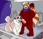 anthro balls bathroom blush bodily_fluids cum cum_on_face detailed_background duo ejaculation erection fur genital_fluids genitals humanoid_hands male male/male overweight overweight_male penis red_body red_fur urinal thezestiestbone zesty_(zestibone) ailurid canid canine canis domestic_dog mammal red_panda 2019