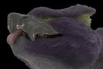 ambiguous_gender beak blep feral fur purple_body purple_fur smile solo tongue tongue_out cugaculoproductions capcom european_mythology monster_hunter mythology dragon flying_wyvern mythological_creature mythological_scalie nargacuga scalie western_dragon wyvern 3:2 3d_(artwork) digital_media_(artwork) headshot_portrait hi_res portrait