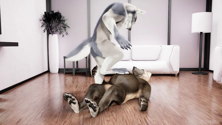 anthro belly big_belly duo feet foot_fetish hindpaw inflated_belly inside lying male male/male nude on_back pawpads paws stepping stepping_on_belly stomping toes conditional_dnp digitallis digi_(wolverine) canid canine canis gulonine mammal mustelid musteline wolf wolverine 16:9 3d_(artwork) 3d_animation animated digital_media_(artwork) loop no_sound short_playtime webm widescreen