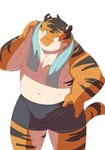 anthro bodily_fluids bulge clothing humanoid_hands kemono male navel overweight overweight_male simple_background solo sweat towel towel_around_neck underwear white_background ayame42612 felid mammal pantherine tiger