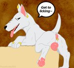 anal_piercing animal_genitalia animal_pussy canine_genitalia canine_pussy dialogue digit_ring feet female feral genital_piercing genitals jewelry muscular muscular_female pawpads piercing pussy pussy_piercing ring solo teeth_showing toe_ring toes tongue tongue_piercing perpetuate303 boaz_(darkmare) bull_terrier canid canine canis domestic_dog hunting_dog mammal terrier
