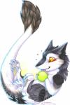 2012 absurd_res ambiguous_gender apple balthazar_(thorphax) food fruit hi_res kashmere lying male mammal on_back plant sergal solo tail young