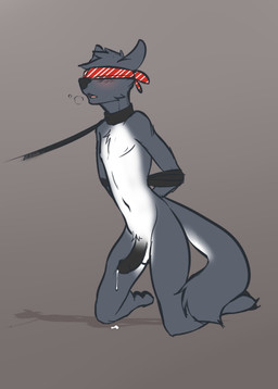 anthro bdsm blindfold bodily_fluids bondage bound collar cum erection femboy genital_fluids genitals humanoid_genitalia humanoid_penis leash male nude penis precum sensory_deprivation slave solo submissive submissive_male teil lordwolfie canid canine canis mammal wolf