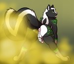 anthro anus balls butt fart fart_cloud fart_fetish fur genitals holding_penis looking_at_viewer looking_back male multicolored_body multicolored_fur multicolored_tail open_mouth penis raised_tail skunk_tail slim smelly solo stink_fumes tail white_body white_fur white_tail skunkbutts ravick_the_skunk mammal mephitid skunk hi_res