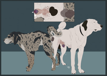 anal anal_knotting anal_orgasm anal_penetration animal_genitalia animal_penis ass_to_ass balls blue_border bodily_fluids border canine_genitalia canine_penis cum cum_on_ground cum_while_penetrated cum_while_sheathed duo ejaculation erection feral feral_on_feral feral_penetrated feral_penetrating feral_penetrating_feral genital_fluids genitals hands-free intraspecies knot knot_in_sheath knotted_penis knotting lipsticking male male/male male_penetrated male_penetrating male_penetrating_male orgasm penetration penile penile_penetration penis penis_tip reverse_doggystyle sex sheath simple_background jenklinbullterrier_(artist) jenklin_(character) logan_(dracanius) canid canine canis domestic_dog mammal 2025 hi_res