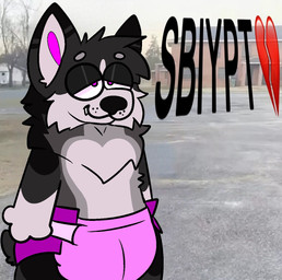 anthro clothed clothing diaper male male/male outside solo wearing_diaper browniepoofbutt sybau_(meme) pyre_corgi canid canine canis domestic_dog herding_dog mammal pastoral_dog welsh_corgi hi_res meme