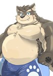 anthro belly bottomwear bulge clothing cute_fangs eyebrows facial_scar fangs fur grey_body grey_fur male musclegut muscular pecs scar shorts solo swimwear teeth thick_eyebrows tanukinoden lifewonders tokyo_afterschool_summoners moritaka_(tas) canid canine canis domestic_dog mammal hi_res