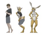 4_breasts anthro barefoot base_one_layout basic_sequence biped blonde_hair breast_growth breasts brown_hair clothing featureless_crotch feet female gender_transformation growth hair human_to_anthro linear_sequence multi_breast multi_breast_growth navel nipples nude one_row_layout shirt short_hair simple_background smile solo species_transformation standing tail tail_growth three_frame_image three_frame_sequence topwear transformation transformation_sequence white_background taus jackrabbit_(sorien) human lagomorph leporid mammal rabbit 2013 sequence