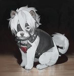 belt_on_mouth belt_on_tail clothed clothed_feral clothing daww eye_patch eyewear feral feralized floor fluffy fluffy_tail fur jacket male sitting solo tail topwear white_body white_fur wood wood_floor young arapa1magigas mihoyo zenless_zone_zero von_lycaon canid canine canis mammal wolf absurd_res full-length_portrait hi_res portrait