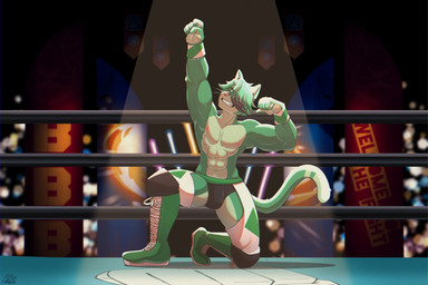 anthro black_hair boots clothing detailed_background fighting_ring footwear fur green_body green_fur green_hair hair male muscular muscular_male pose ring shoes smile solo teeth teeth_showing underwear wrestling bigbustb domestic_cat felid feline felis mammal hi_res