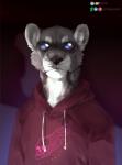 anthro blue_eyes clothed clothing countershading ear_piercing hoodie looking_at_viewer piercing solo topwear nerton felid lion mammal pantherine digital_media_(artwork)