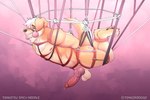 animal_genitalia anthro aroused balls bdsm big_balls blush blush_lines bodily_fluids bondage bound canine_genitalia genital_fluids genitals hanging_from_ceiling knot knotted_penis leaking_precum male muscular paws penis precum restraints rope rope_bondage rope_harness solo sweat vein tonkotsu_spicy_noodle bird_dog canid canine canis domestic_dog golden_retriever hunting_dog mammal retriever 3:2 hi_res