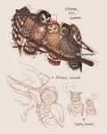 ambiguous_gender beak brown_body brown_feathers brown_text cheek_lick face_lick feathered_wings feathers feral group licking open_beak open_mouth perching size_difference snout tail tail_feathers teeth text tongue trio whisker_spots whiskers wing_around_another wings yellow_beak trunswicked guardians_of_ga'hoole fengo_(the_first_collier) grank_(gogh) hoole_(gogh) king_h'rath queen_siv theo_(gogh) avian bird canid canine canis great_horned_owl horned_owl mammal owl spotted_owl strix_(genus) true_owl wolf 2023 4:5 character_name digital_drawing_(artwork) digital_media_(artwork) english_text handwritten_text hi_res sketch_page
