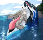 anatomically_correct anatomically_correct_anus anatomically_correct_genitalia anatomically_correct_penis animal_genitalia animal_penis anthro anthro_on_feral anus bestiality cetacean cetacean_genitalia cetacean_penis countershading darknesshaven dolphin duo erection felid feline feral genital_slit genitals imminent_anal imminent_sex interspecies lynx male male/male mammal marine nero_(mrmephit) nude oceanic_dolphin outside penis penis_on_back sea size_difference synx_(synxthelynx) tapering_penis toothed_whale water