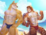 2018 5_fingers abs absurd_res anthro beach biceps canid canine claws clothed clothing cloud detailed_background digital_media_(artwork) duo eyes_closed fangs felid fingers fur hi_res male mammal muscular muscular_male open_mouth outside pantherine pecs raytig12 seaside sky smile speedo swimwear teeth tiger topless water