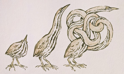 ambiguous_gender beak belly black_eyes claws feathered_wings feathers feral long_neck solo striped_belly stripes wings yellow_beak yellow_sclera idlelizard avian bird bittern heron pelecaniform absurd_res hi_res painting_(artwork) watercolor_(artwork)