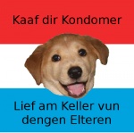 advice_dog advice_meme ambiguous_gender canid canine condom flag grandfathered_content image_macro low_res luxembourg luxembourgish_flag luxembourgish_text mammal meme not_furry sexual_barrier_device solo text translated unknown_artist