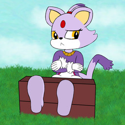 anthro barefoot bdsm bondage bound clothed clothing featureless_feet feet female foot_focus fully_clothed fur looking_away nervous outside purple_body purple_fur restraints simple_background solo stocks ticklebunny sega sonic_the_hedgehog_(series) blaze_the_cat domestic_cat felid feline felis mammal 1:1 digital_media_(artwork) hi_res