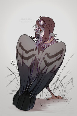 beak clothing feathered_wings feathers feral grass hat headgear headwear looking_at_viewer looking_back looking_back_at_viewer male open_beak open_mouth plant rear_view red_eyes simple_background solo standing tail tail_feathers wings azzai avian bird columbid pigeon 2021 colored colored_sketch digital_drawing_(artwork) digital_media_(artwork) shaded sketch
