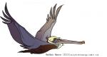 2015 ambiguous_gender avian beak biped bird brown_pelican brown_tail digital_drawing_(artwork) digital_media_(artwork) dipstick_beak feathered_wings feathers feral flying frown full-length_portrait grey_beak grey_wings jamminbison midair multicolored_beak orange_beak pelecaniform pelican portrait shadow side_view simple_background solo spread_arms spread_wings tail tail_feathers text toony two_tone_beak url white_background winged_arms wings