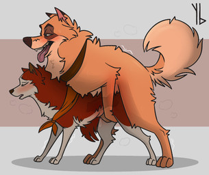 animal_genitalia animal_penis blush bodily_fluids canine_genitalia canine_penis digitigrade doggystyle duo eyes_closed female female_penetrated feral feral_on_feral feral_penetrated feral_penetrating feral_penetrating_feral from_behind_position fur genitals geometric_background imminent_orgasm in_heat internal knot knotting larger_male looking_pleasured male male/female male_penetrating male_penetrating_female mounting musk open_mouth penetration penile penile_penetration penis quadruped questionable_consent red_body red_fur rounded_back saliva sex shaking simple_background size_difference smaller_female smaller_penetrated tongue tongue_out translucent translucent_body trembling yaldabroth balto_(series) universal_studios jenna_(balto) kaltag_(balto) canid canine canis domestic_dog husky mammal nordic_sled_dog siberian_husky spitz hi_res