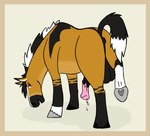 animal_genitalia animal_penis anus balls bodily_fluids equine_anus equine_genitalia equine_penis feral flirting flirting_with_viewer genital_fluids genitals hooves male penis precum puffy_anus raised_tail solo tail tail_anus underhoof yasuno bowie_(yasuno) equid equine horse mammal hi_res