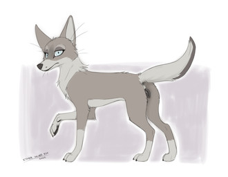 anatomically_correct anatomically_correct_genitalia anatomically_correct_vulva animal_genitalia animal_vulva anus black_nose black_vulva blue_eyes butt canine_genitalia canine_vulva digitigrade female feral fur genitals grey_body grey_fur looking_aside looking_at_viewer nude pawpads paws presenting presenting_anus presenting_hindquarters presenting_vulva quadruped raised_leg raised_tail side_view simple_background solo tail text vulva white_background white_body white_fur ethersilverfox disney far_from_the_tree canid canine canis coyote mammal 2022 dated digital_drawing_(artwork) digital_media_(artwork) english_text