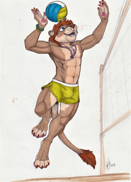 anthro athletic athletic_anthro athletic_male blue_eyes bottomwear brown_body brown_fur brown_hair brown_nose bulge clothed clothing fangs front_view fur green_bottomwear green_clothing hair jewelry jumping male male_anthro navel necklace open_mouth open_smile short_hair smile solo sport tan_body tan_fur teeth topless volleyball whiskers hufnaar felid lion mammal pantherine 2019 dated hi_res