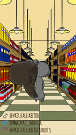 aisle biped detailed_background dot_eyes feral food grey_body grocery_store humor inside running solo surprise walking natural_habitok sound_warning natural_habitat_shorts mammal rodent sciurid tree_squirrel 2021 3d_(artwork) 3d_animation 9:16 animated digital_media_(artwork) hi_res short_playtime sound webm