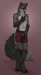 anthro bedroom_eyes bottomwear brown_eyes bulge clothing fur gem grey_body grey_fur holding_bulge jewelry male narrowed_eyes necklace red_bottomwear red_clothing red_shorts seductive shorts solo butteredshep kitick canid canine fox mammal red_fox silver_fox true_fox 2021 absurd_res hi_res