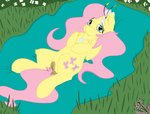 anatomically_correct animal_genitalia animal_pussy anus cutie_mark digitigrade equine_genitalia equine_pussy female feral fur genitals grass hair looking_at_viewer lying pink_hair plant pussy quadruped solo yellow_body yellow_fur bloodymascarade friendship_is_magic hasbro my_little_pony fluttershy_(mlp) equid equine mammal hi_res