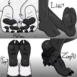 anthro black_body claws feet female foot_fetish foot_focus group hooves pawpads paws soles zoey_(minusdanna) minusdanna joyce_(minusdanna) lilith_(minusdanna) molly_(minusdanna) arthropod bee bovid canid canine canis caprine domestic_dog felid hymenopteran insect mammal pantherine sheep 1:1 absurd_res hi_res