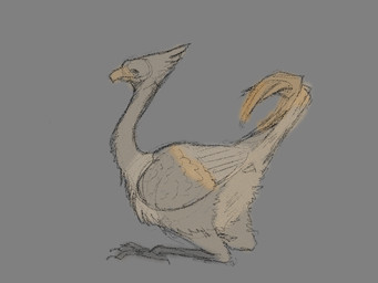 animal_genitalia avian_butt beak claws cloaca feathered_crest feathers feral genitals head_crest orange_body orange_feathers solo tail tail_feathers tan_body tan_feathers einin avian bird 4:3 sketch