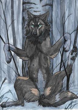 animal_genitalia animal_vulva black_nose black_pawpads black_vulva blue_eyes canine_genitalia canine_vulva female female_feral feral fur genitals glistening glistening_eyes grey_body grey_fur looking_at_viewer markings mouth_closed outside pawpads plant snow snowing solo spread_legs spreading stuck tan_markings tree vulva whiskers heatherwolf hiona canid canine canis mammal wolf
