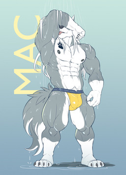 4_toes 5_fingers abs anthro armpit_hair biceps bodily_fluids body_hair bulge calf_muscles chest_tattoo clothing detailed_bulge feet fingers footprint forearm_muscles fur grey_body grey_fur hair jockstrap licking licking_arm licking_bicep long_hair male muscular muscular_male navel nipple_piercing nipples pawprint pawprint_tattoo pecs piercing shower showing_armpit solo sweat sweaty_body tail tattoo toes tongue underwear white_body white_fur akai.kaze vlatt23_pose mac_b._howlin canid canine canis mammal wolf 2026 full-length_portrait hi_res portrait
