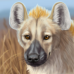 ambiguous_feral ambiguous_gender black_nose blue_sky brown_eyes day feral fur glistening glistening_eyes mouth_closed outside realistic sky solo tan_body tan_fur text whiskers heatherwolf hyena mammal 1:1 url