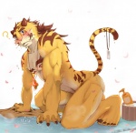 all_fours anthro biceps big_muscles blush cloth jewelry looking_at_viewer male muscular muscular_anthro muscular_male necklace nude pendant petals raised_tail soap solo stripes tail water wet whiskers tkfkd5362 undertaker felid mammal pantherine tiger