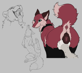 animal_genitalia animal_vulva anus canine_genitalia canine_vulva female female_feral feral genitals hand_on_vulva looking_at_viewer open_mouth pawpads raised_tail smile solo tail tongue vulva digitoxici nora_(digitoxici) canid canine felid mammal pantherine snow_leopard