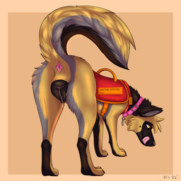 amber_eyes anatomically_correct anatomically_correct_anus anatomically_correct_genitalia anatomically_correct_vulva animal_genitalia animal_vulva anus black_body black_ears black_fur black_nose black_vulva bodily_fluids butt butt_focus canine_genitalia canine_vulva clothing collar eyebrows eyelashes female feral fur genital_fluids genitals glistening glistening_anus glistening_genitalia glistening_vulva licking licking_lips multicolored_body multicolored_fur pink_anus pink_collar presenting presenting_anus presenting_hindquarters presenting_vulva quadruped raised_tail service_animal service_dog_harness simple_background sniffing solo tail tan_body tan_fur tongue tongue_out topwear tracking vaginal_fluids vest vulva sylvertears erection_detection_k-9 canid canine canis domestic_dog german_shepherd herding_dog mammal pastoral_dog 1:1 2022 dated digital_drawing_(artwork) digital_media_(artwork) hi_res signature